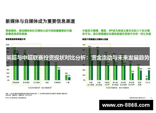 英超与中超联赛投资现状对比分析：资金流动与未来发展趋势