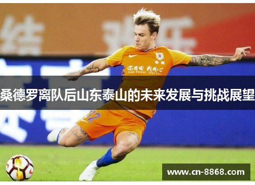 桑德罗离队后山东泰山的未来发展与挑战展望